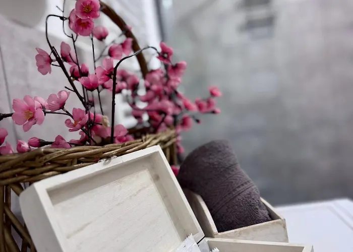 Ama Esclusive Spa Bologna